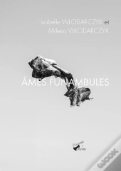 Capa do artigo Ames Funambules