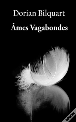 Capa do artigo Ames Vagabondes