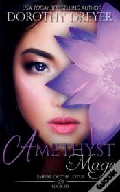 Capa do artigo Amethyst Mage