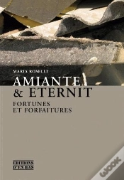 Capa do artigo Amiante Et Éternité ; Fortunes Et Forfaitures