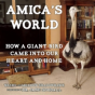Amica'S World - Preview