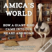 Amica'S World