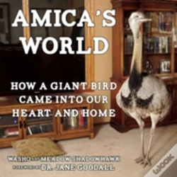 Capa do artigo Amica'S World