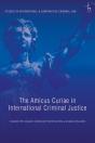 Amicus Curiae In International Criminal Justice - Preview