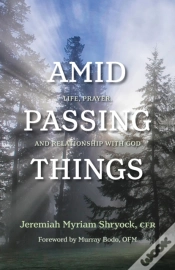 Capa do artigo Amid Passing Things