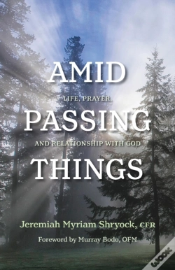 Capa do artigo Amid Passing Things