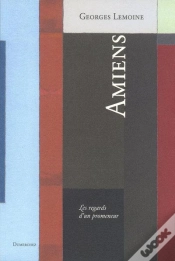 Capa do artigo Amiens-Regards D