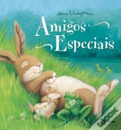 Capa do artigo Amigos Especiais