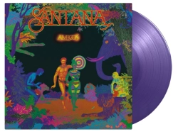 Capa do artigo Amigos - Vinil