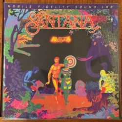 Capa do artigo Amigos - Vinil