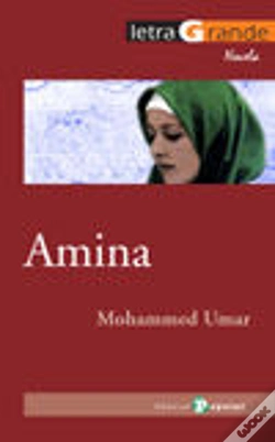 Capa do artigo Amina