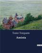 Aminta - Preview