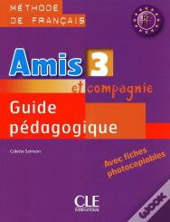 Amis Et Compagnie : Amis Et Compagnie ; Méthode De Français ; Niveau 3 A2 B1 ; Guide Pédagogique (Édition 2009)