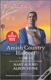 Capa do artigo Amish Country Hideout