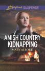 Amish Country Kidnapping - Preview