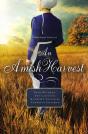 Amish Harvest - Preview
