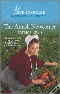 Capa do artigo Amish Newcomer