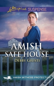 Capa do artigo Amish Safe House_Amish Wit2 Eb