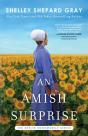 Amish Surprise - Preview