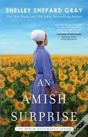 Capa do artigo Amish Surprise