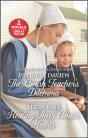 Amish Teacher'S Dilemma And Healing Their Amish Hearts - Preview