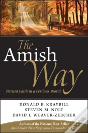 Capa do artigo Amish Way