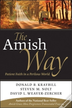 Capa do artigo Amish Way