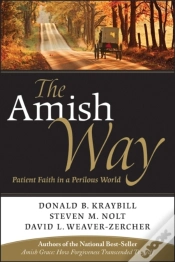 Capa do artigo Amish Way