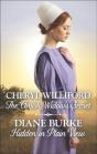 Amish Widow'S Secret And Hidden In Plain View - Preview