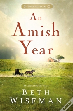 Capa do artigo Amish Year
