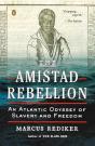 Amistad Rebellion - Preview