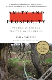 Capa do artigo Amity And Prosperity