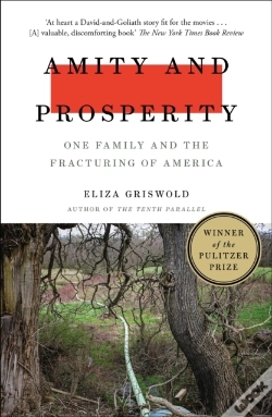 Capa do artigo Amity And Prosperity