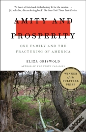 Capa do artigo Amity And Prosperity