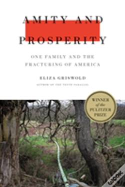 Capa do artigo Amity & Prosperity