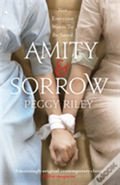 Capa do artigo Amity & Sorrow