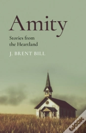 Capa do artigo Amity