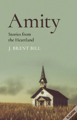 Capa do artigo Amity