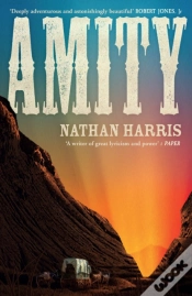 Capa do artigo Amity