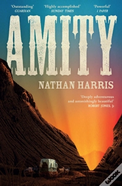 Capa do artigo Amity