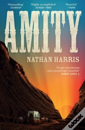 Capa do artigo Amity