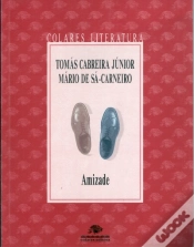 Capa do artigo Amizade