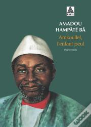 Amkoullel, L'Enfant Peul