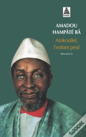 Capa do artigo Amkoullel, L