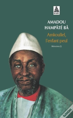 Capa do artigo Amkoullel, L'Enfant Peul