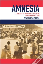 Capa do artigo Amnesia