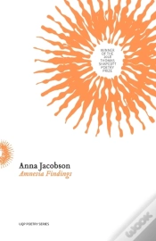 Capa do artigo Amnesia Findings