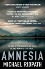 Amnesia - Preview