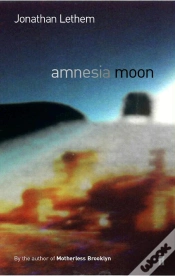 Capa do artigo Amnesia Moon