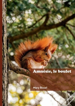 Capa do artigo Amnésie, Le Boulet
